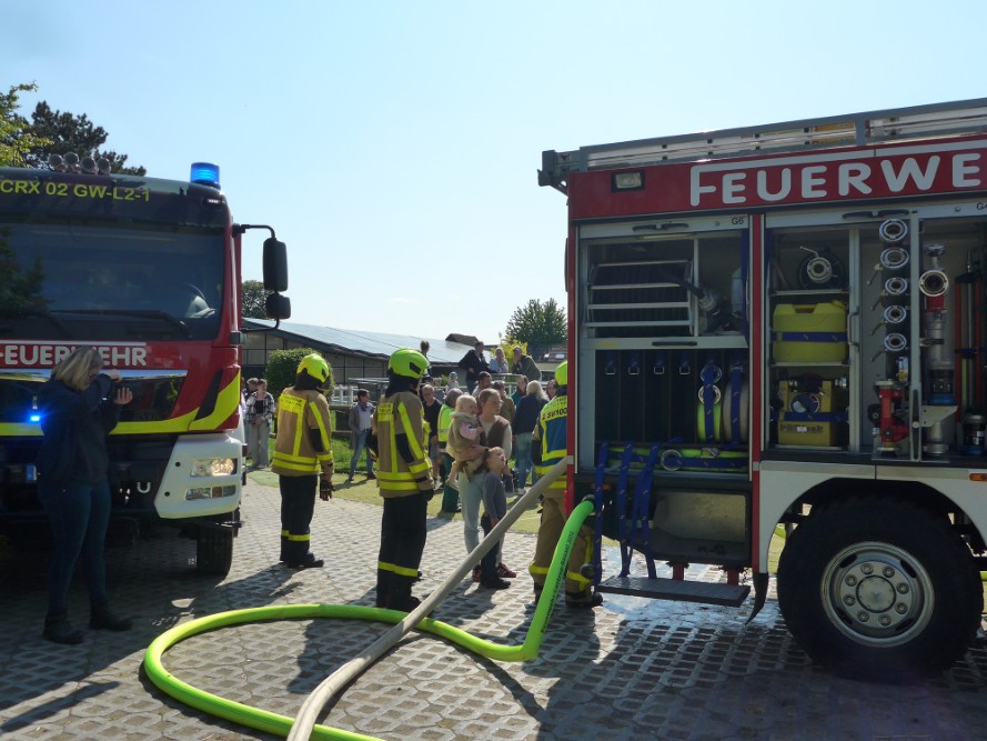 Galerie-Bild 6